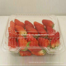 Eco-friendly Health Clear Plastic PP Box for fruit (food packaging)